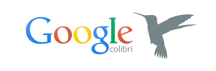 Google Colibrí